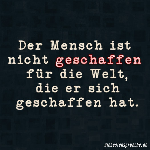 Der Mensch Ist ... - DieBestenSprueche.de