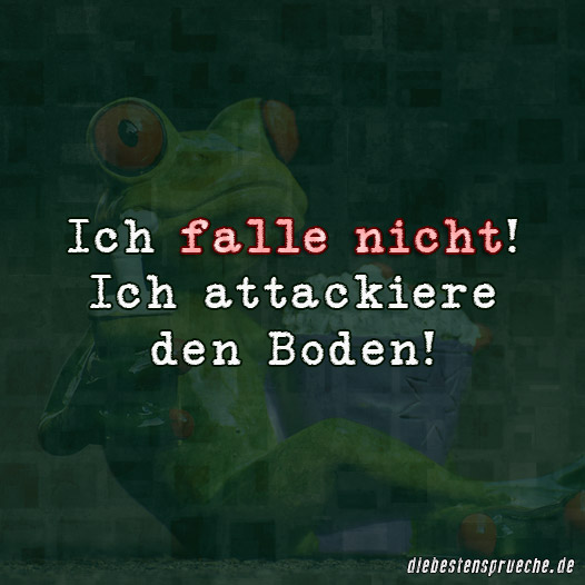 Ich falle nicht! DieBestenSprueche.de